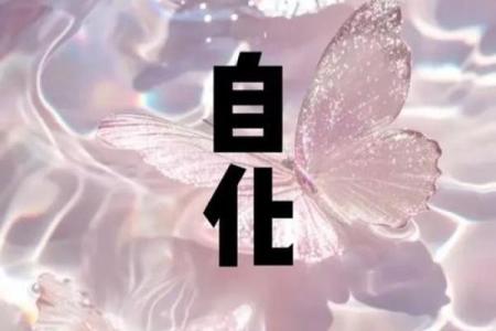 易算紫薇斗数