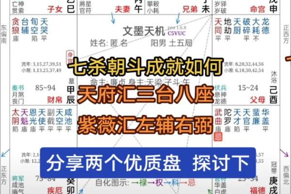紫薇斗数七杀有哪些