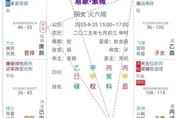 紫薇斗数命主详解