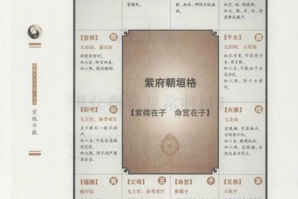 庄氏紫微斗数入门基础知识 庄氏资料？