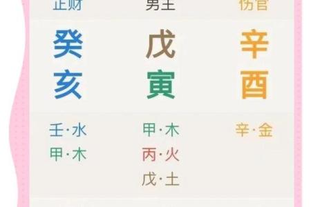 伤官八字