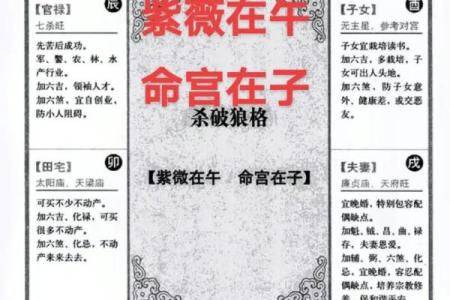 紫薇斗数小人