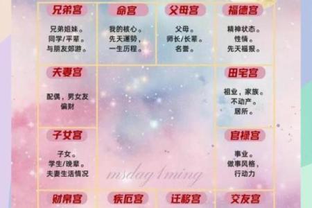 紫薇斗数看什么样的男女会结婚