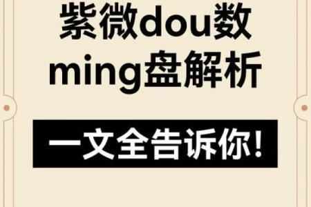 紫薇斗数微盘
