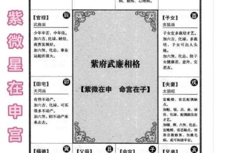 紫微斗数十四主星：紫微星概论