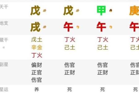 八字纯阳男
