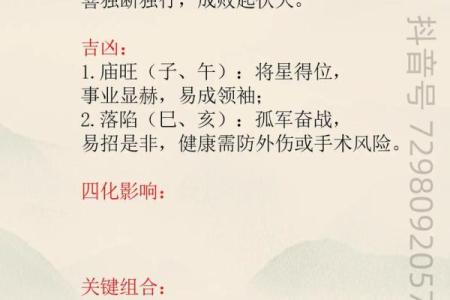 紫薇斗数七杀有哪些