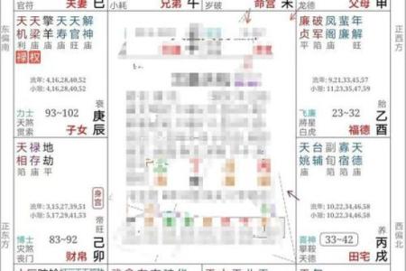 紫微斗数看进财迹象 紫微斗数看财源？
