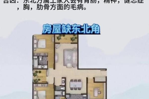 唐艺尹老师不完美户型化解案例：东方缺角，最影响男人事业财运的方位，对家中长子不利