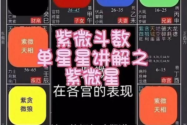 紫微斗数陀螺在戊寅 紫微陀螺星？