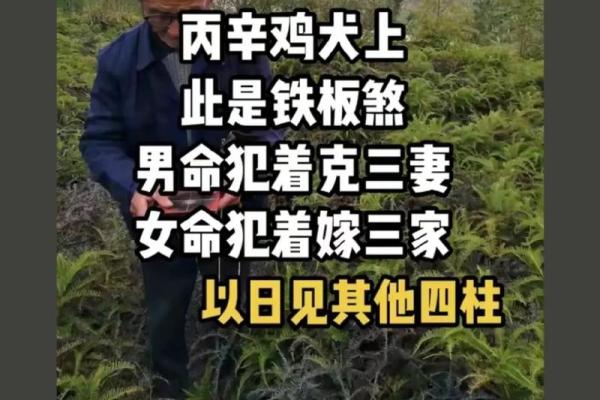 算命的说三妻之命的意思