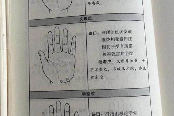 免费拍照看手相算命在线