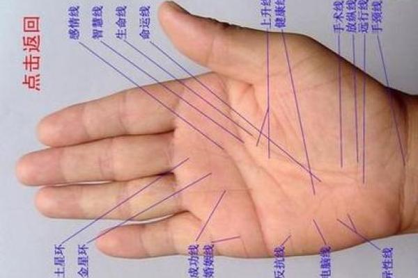 免费拍照看手相算命在线