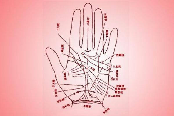 男士手相算命图解法 男人感情线的末端分叉异性缘好