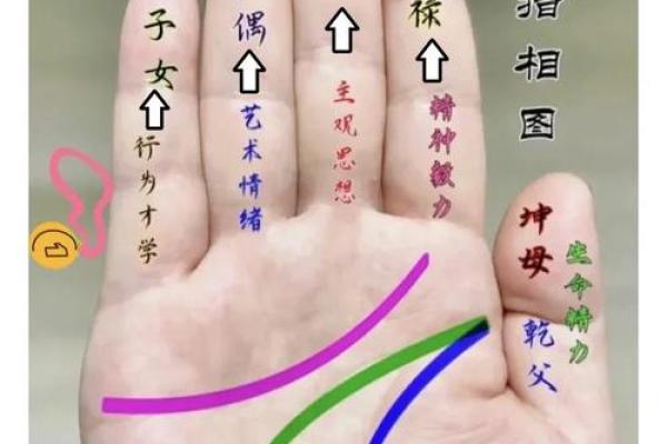 男士手相算命图解法 男人感情线的末端分叉异性缘好