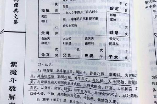 紫薇斗数历史最经典