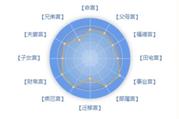 紫薇斗数偶身