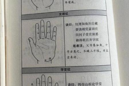 免费拍照看手相算命在线