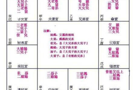灵机紫薇斗数下载