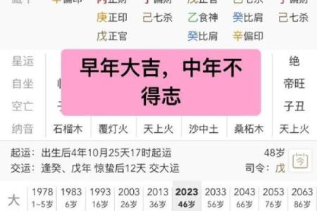 八字从财格