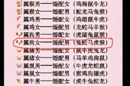 95猪男和98年虎女结婚吉日