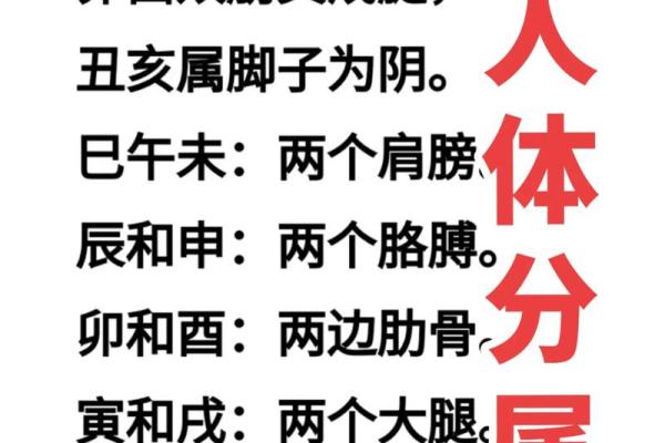 怎么知道自己八字