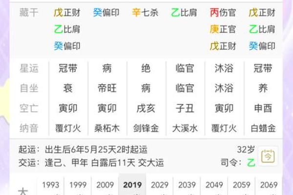 八字命盘养是什么意思