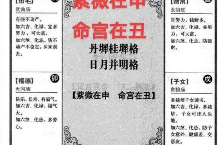紫薇与斗数