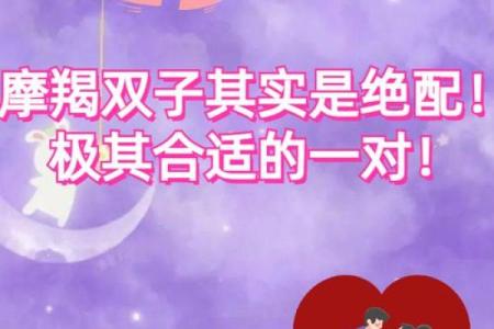 摩羯女和什么星座更合适男生