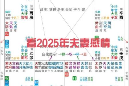 紫薇斗数怎么看命理正缘