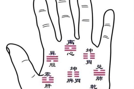 图解：手相棺材纹算命