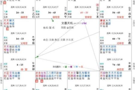 紫薇斗数 天同在官禄宫怎么解读