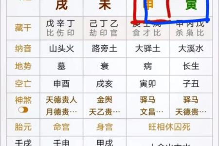 八字断法讲解视频