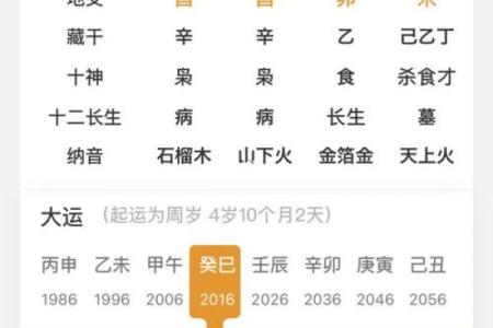 八字命盘养是什么意思