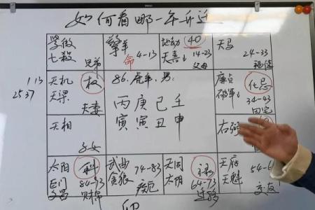 龙德紫薇斗数