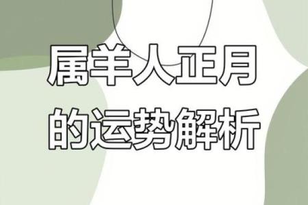 2024属羊人适合发展的方位