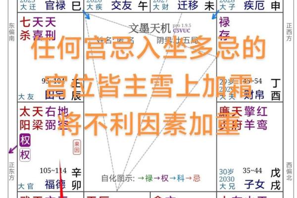 12生肖星座运势完整版