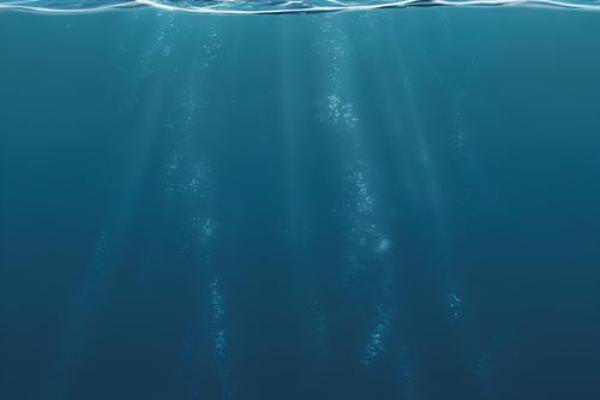 八字大海水命
