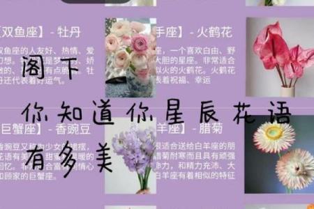 十二星座适合什么盆栽好看的花