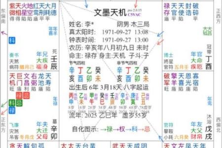 紫薇斗数乐观的人