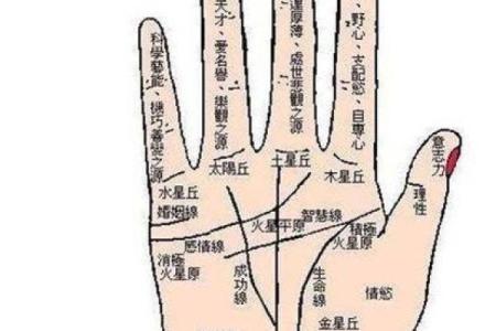 算命为什么算的准