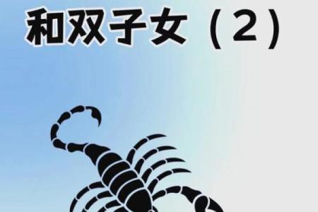 双子女和哪个星座相处最舒服呢