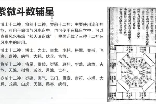 紫薇斗数交友铃星