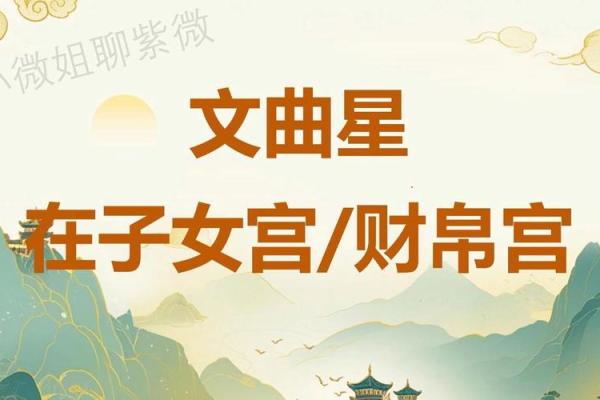 紫薇斗数之天才