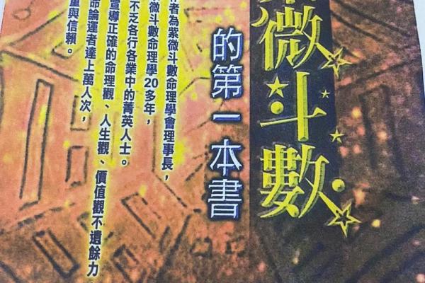 紫薇斗数之天才