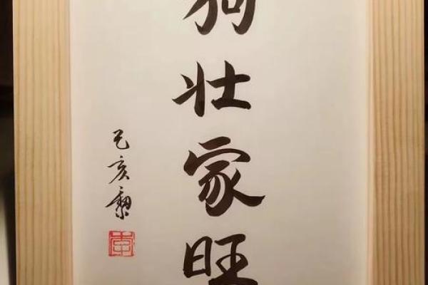 养狗生辰八字