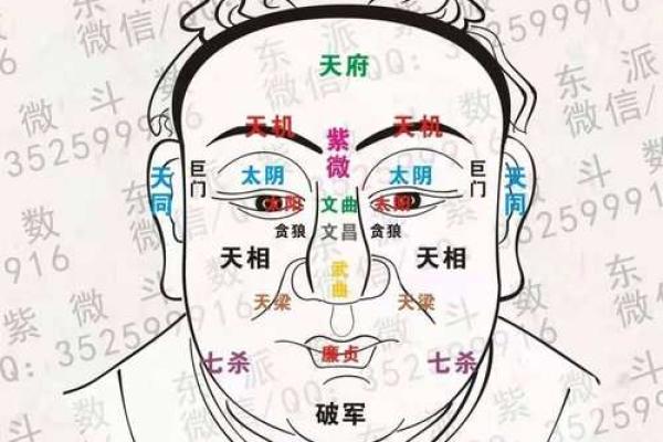 紫薇斗数梁派