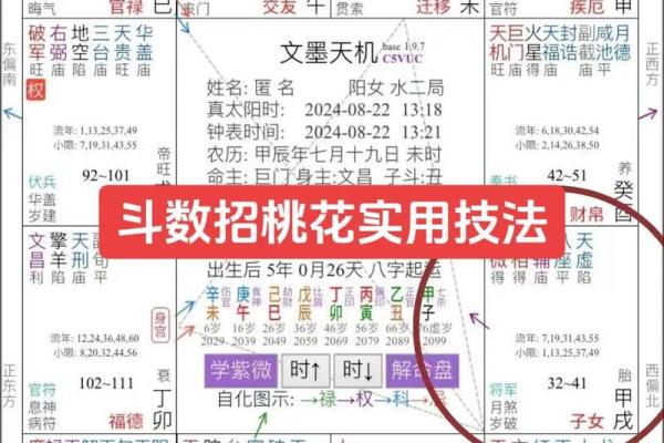 紫薇斗数看气质
