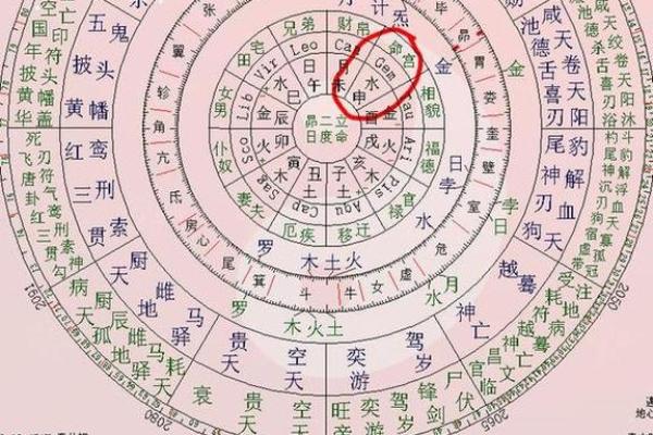 紫薇斗数看家境