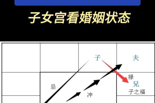 双胞胎紫薇斗数